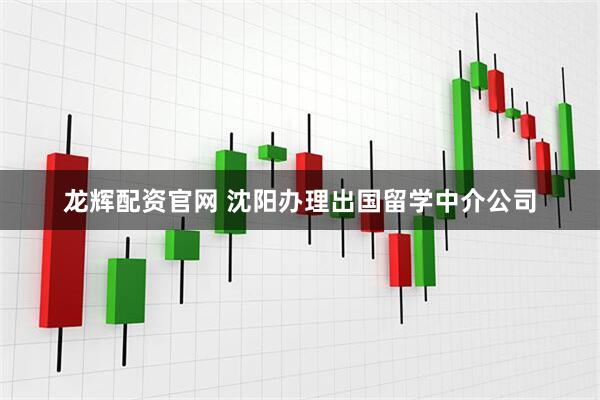 龙辉配资官网 沈阳办理出国留学中介公司