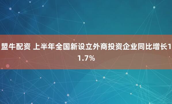 盟牛配资 上半年全国新设立外商投资企业同比增长11.7%