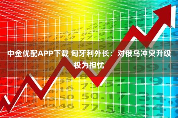 中金优配APP下载 匈牙利外长：对俄乌冲突升级极为担忧